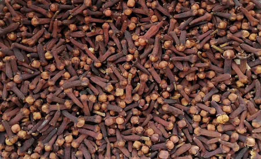 Cloves