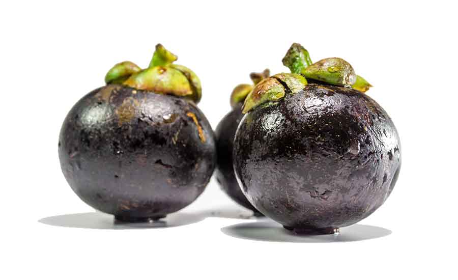 Mangosteen